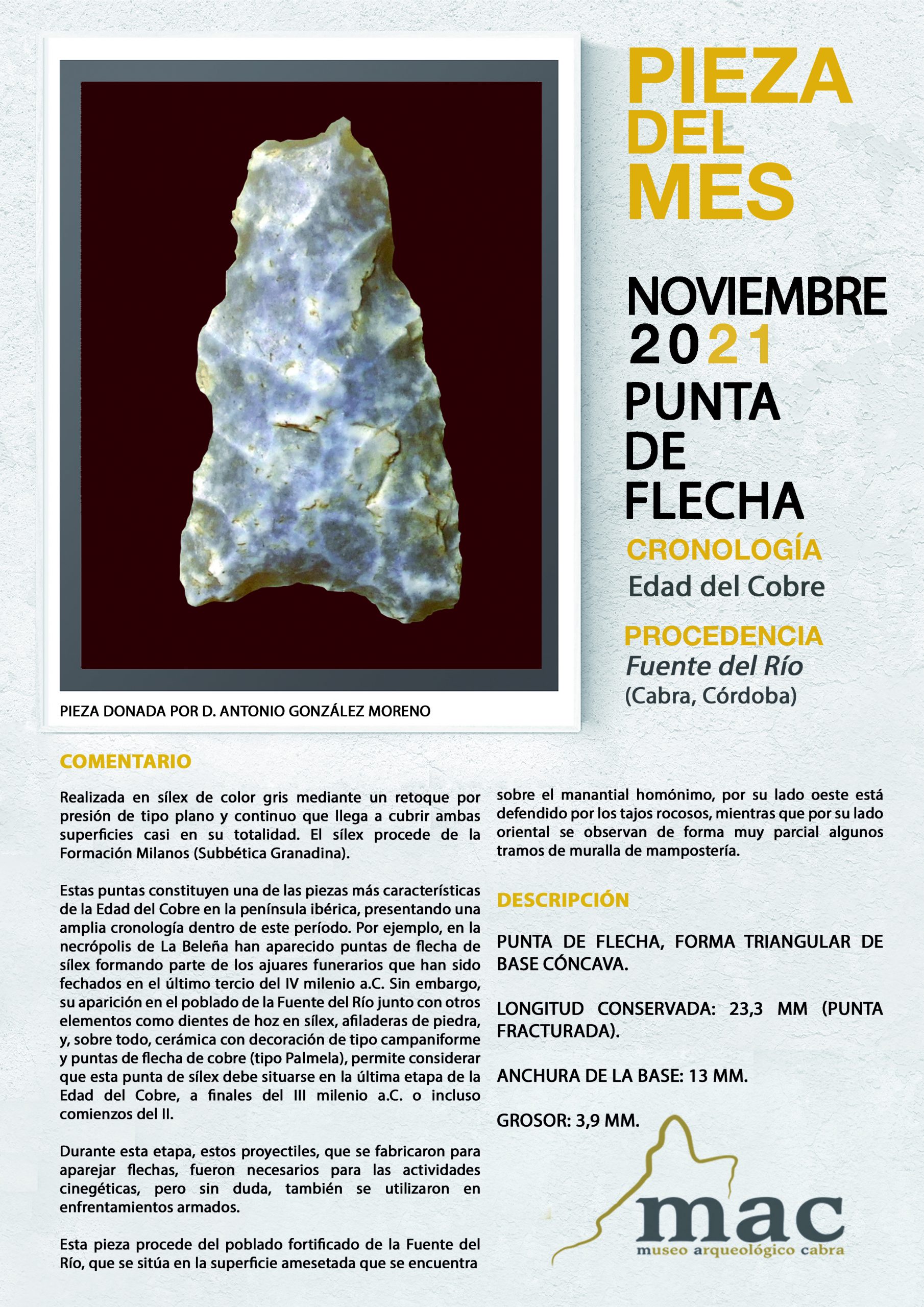 Presentada la pieza del mes de noviembre en el Museo Arqueológico Municipal